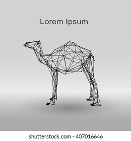 Plexus atoms in the form of a camel on a gray gradient background.