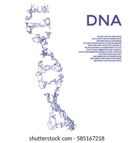 Plexus DNA concept. Vector mesh. Thin line concept. Structure style illustration. Vector