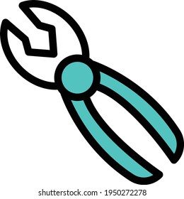 plier vector colour line icon