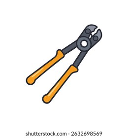 Pliers tool for construction and industry on White Background