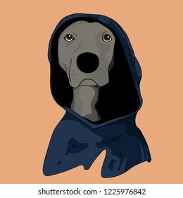 Plott dog with hoody