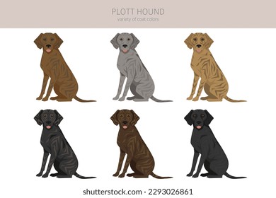 Plott hound clipart. Postas diferentes, colores de abrigo.  Ilustración del vector