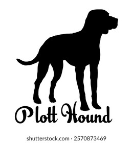 Plott Hound. dog silhouette, dog breeds, logo, vector, silhouette,  animal, illustration, icon, sign, design, black, symbol, pet, love
