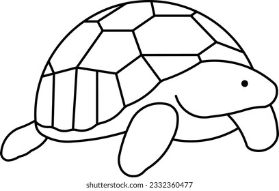 Ploughshare Tortoise Angonoka tortoise animal galapagos Outline