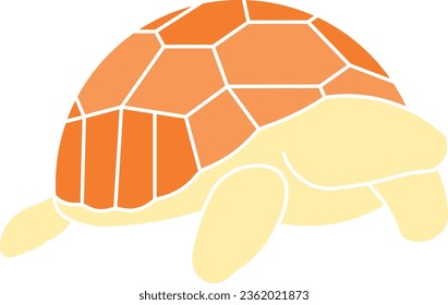 Ploughshare Tortoise Angonoka tortoise animal galapagos