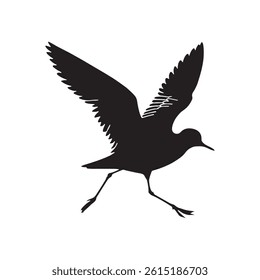 plover bird silhouette isolated on white background.