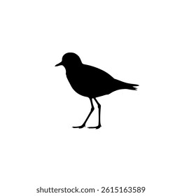 Plover bird silhouette vector flat illustration design.