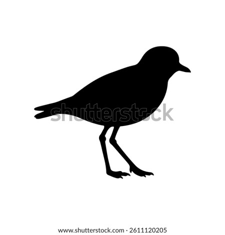 Plover silhouette vector flat illustration design.