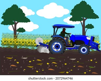 Plow the soil to cover the plants as fertilizer.
