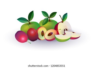 plum apple fruit on white background, healthy lifestyle or diet concept, logo for fresh fruits vector illustration