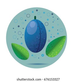 plum beautiful vector illustration  with shadow