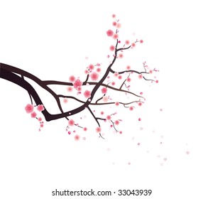 plum blossom