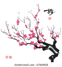 Plum Blossom