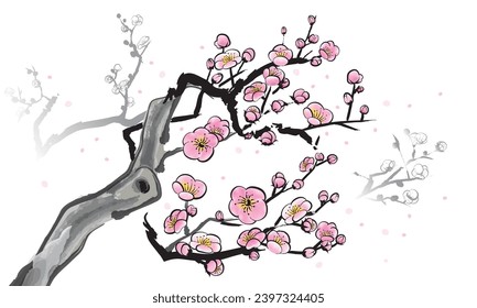 Plum blossom drawing presented in Chinese ink painting style. Vector, pink colour flower with white background.