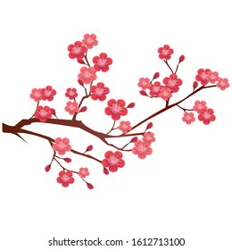 Plum Blossom Flower Spring Icon