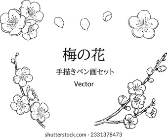 Plum  blossom hand drawn pen drawing set.  Vector illustration. Japanese it is written 