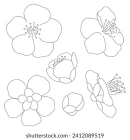 Plum Blossom Hand-drawn Line Drawing Parts Set