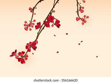 Pflaumenblüte im Frühjahr