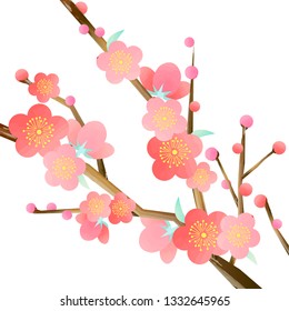 Plum blossom vecter