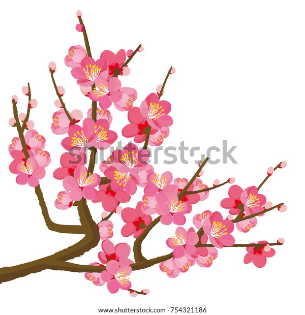 Plum Blossom Vector Illustration Stock Vector (Royalty Free) 754321186