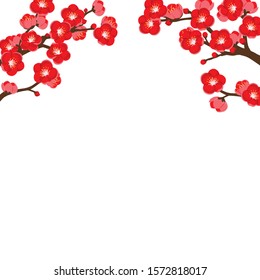 Plum blossom vector illustration background