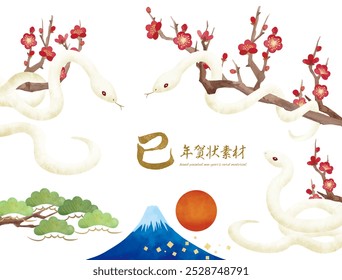 Plum blossom and white snake New Year's card material Translation: Snake New Year's card material