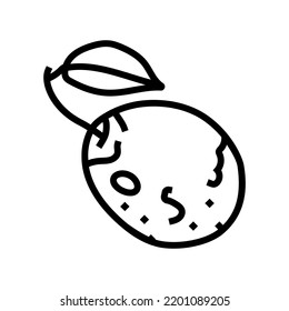 vector de icono de línea de fruta de hoja azul de ciruela. signo de fruto de hoja azul de ciruela. símbolo de contorno aislado ilustración negra