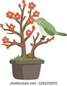 Plum bonsai and mejiro illustration