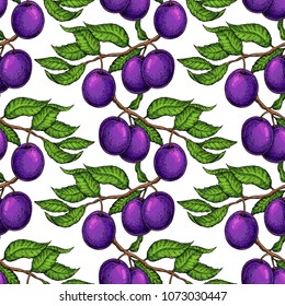 Plum branch seamless pattern. Vector drawing. Hand drawn isolated fruit. Summer food illustration. Detailed vintage botanical sketch. Great for label, fabric, menu, packaging design