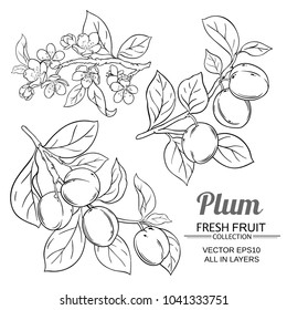 Plum Branches Set