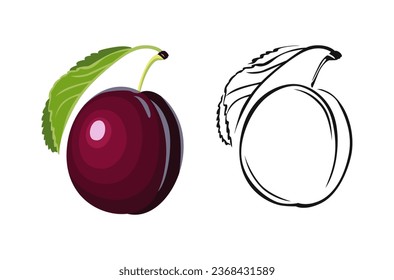 Plum cartoon illustration and black and white outline.  Fruit icon.