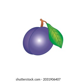 plum in cartoon style isolated on transparent background. vector illustration 