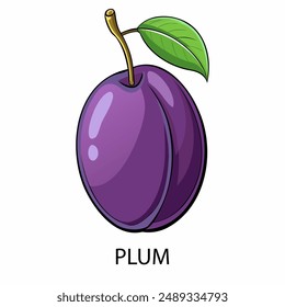 Plum in cartoon style on a white background. Vector illustration.