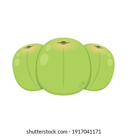 Plum cartoon vector. Plum on white background.