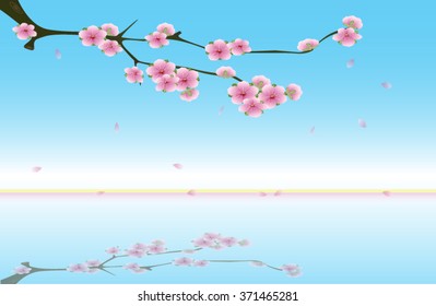 plum or cherry blossom  background