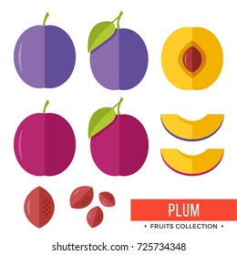 Plum. Damson purple plum and parts, slices, pits, leaves, core. Set of fruits. Flat design graphic elements. Vector illustration isolated on white background