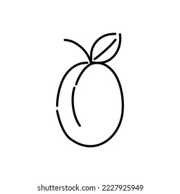 Plum doodle icon. Hand drawn black sketch. Vector Illustration.