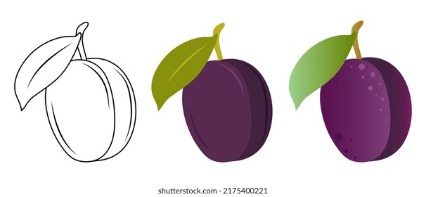 Plum. Doodle illustration of a plum. Plum vector illustration