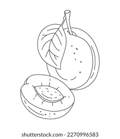 Plum doodle Vector libro de colorear ilustraciones para niños