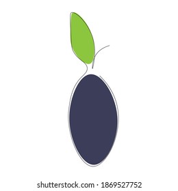 Plum drawing on white background, vector illustration