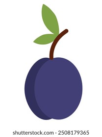 Plum Element. Summer fruit. Vector flat illustration.