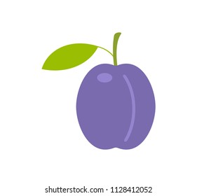 Plum. flat style. isolated on white background