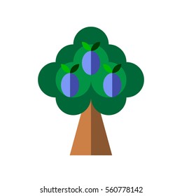 Plum in flat style isolated on the white background. Three ripe plums hanging on the tree. Vector.