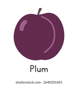 Plum flat vector illustration. Purple common plum cartoon clipart style isolated on white background. Common fruit and Stone fruit concept