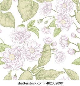 Plum flower on white background. Seamless vector pattern.