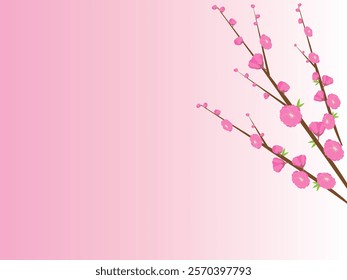 It's plum flower in Spring and pink background.