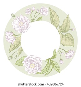 Plum flower. Vector card.