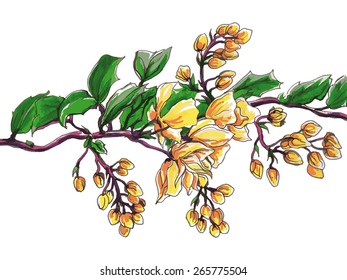 Plum flowering