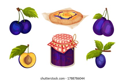 Plum Foodstuff with Sweet Pie and Fruit Jam in Glass Jar Vector Set