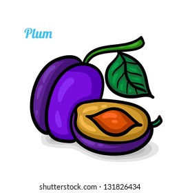 Plum, fresh fruits. Colorful cartoon. Easily editable vector. Fruits on the white background. Isolated vector.